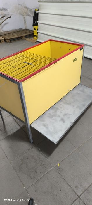 Maternidade para pintos