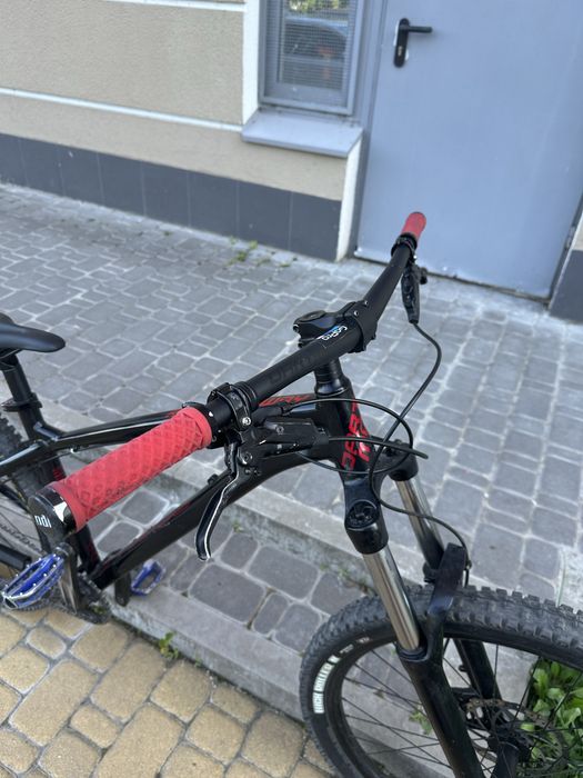 DARTMOOR sparrow intro 2021