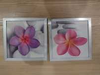 Obrazki 2 szt 20x20