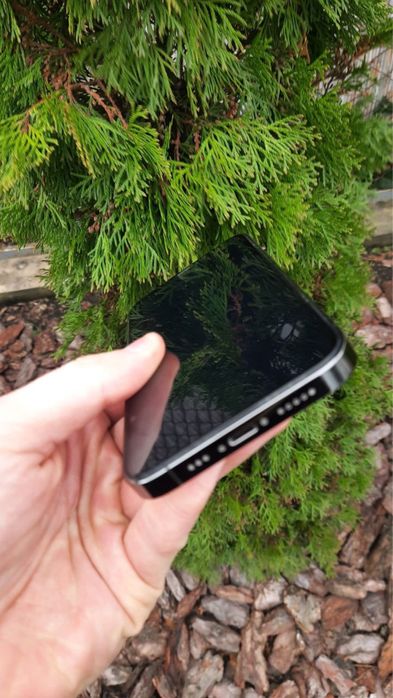 Iphone 12 pro 256 Graphit