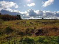 Lote 5.000/10.000 m2 Foros de Salvaterra