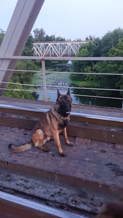 Малинуа кабель для вязки