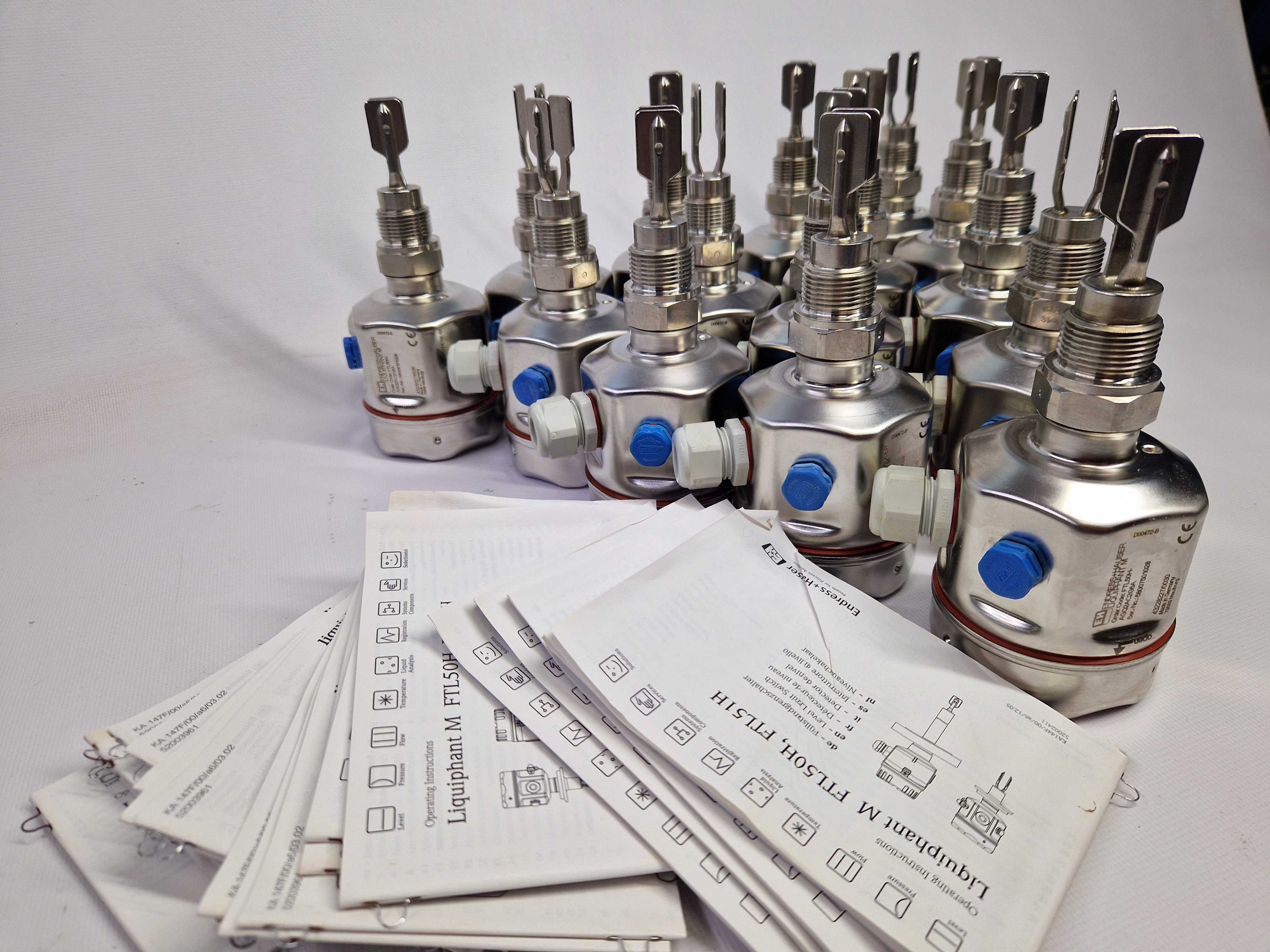 Вібраційний датчик граничного рівня Endress+Hauser Liquiphant M FTL50H