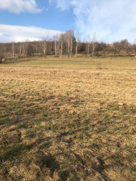 Продам землю в Карпатах