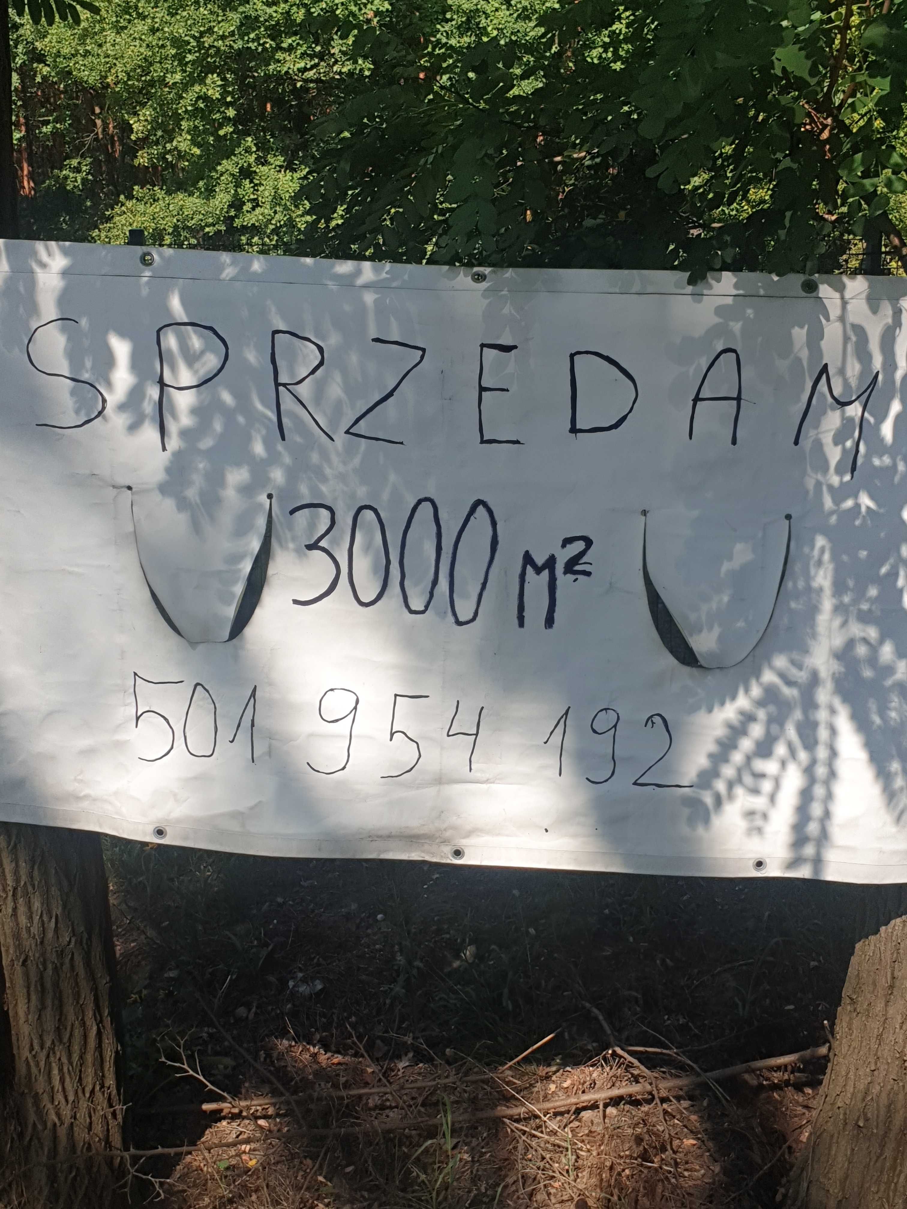 siedlisko do sprzedania