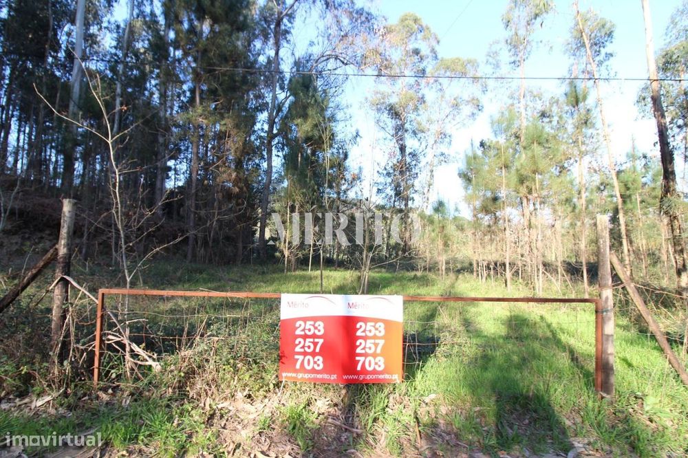 Carreiras S. Miguel-Vila Verde (Terras De Penegate)