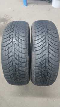 Para opon 205/60R16 96H Nexen Nblue 4Seasons