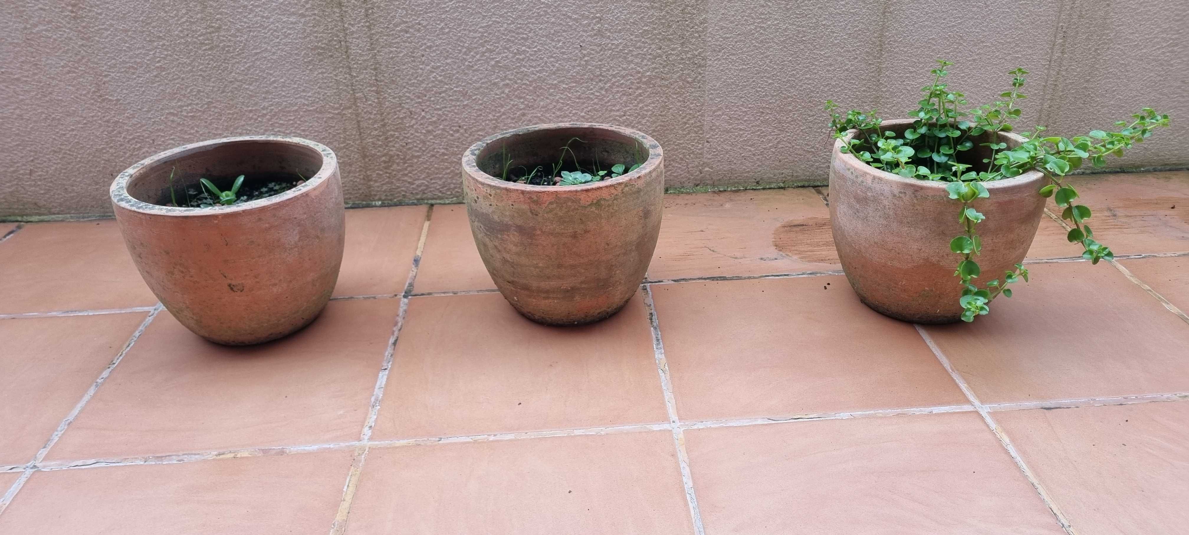 Seis vasos terracota da Area Store :  três 37x36cm + três 19x24cm