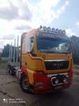 MAN TGX HDS DO drzewa drewna lasu