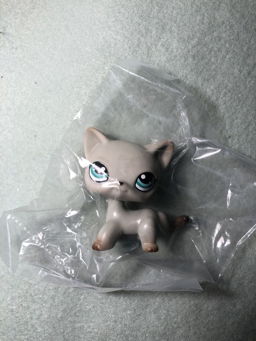 Nowy kotek shorthair egipski LPS