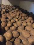 batatas para comer agria