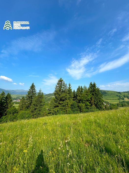 Знмельна двлянка в туристичному селі Пилипець