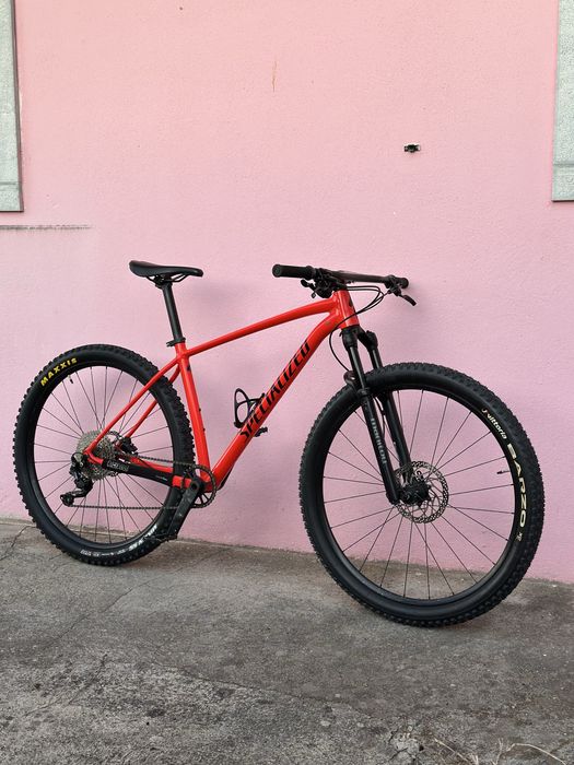 Specialized Rockhopper L 29