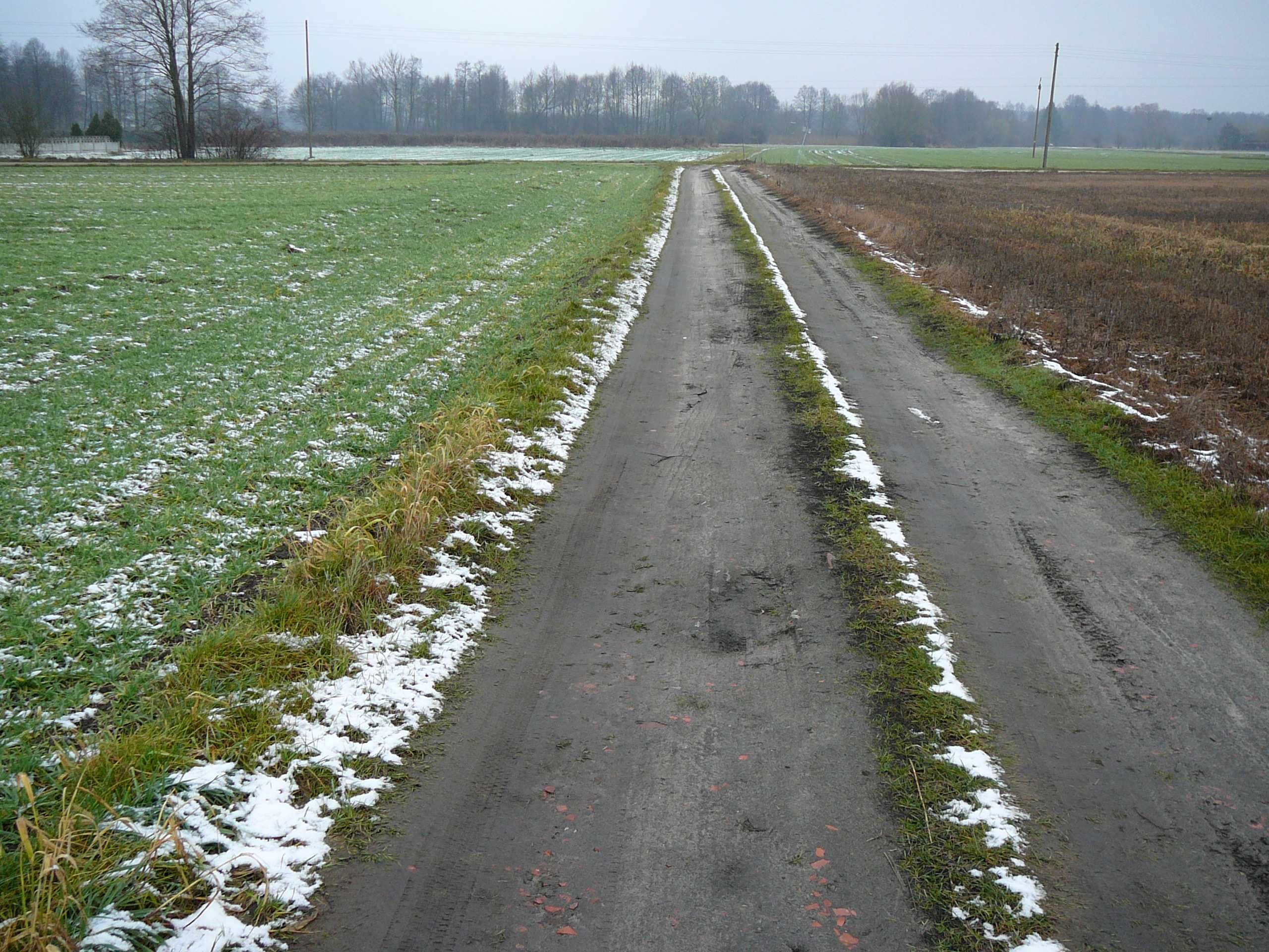 Sprzedam działkę ziemie 8338m2 Jastrzębsko Nowe, Grubsko ,G. Zbąszyń