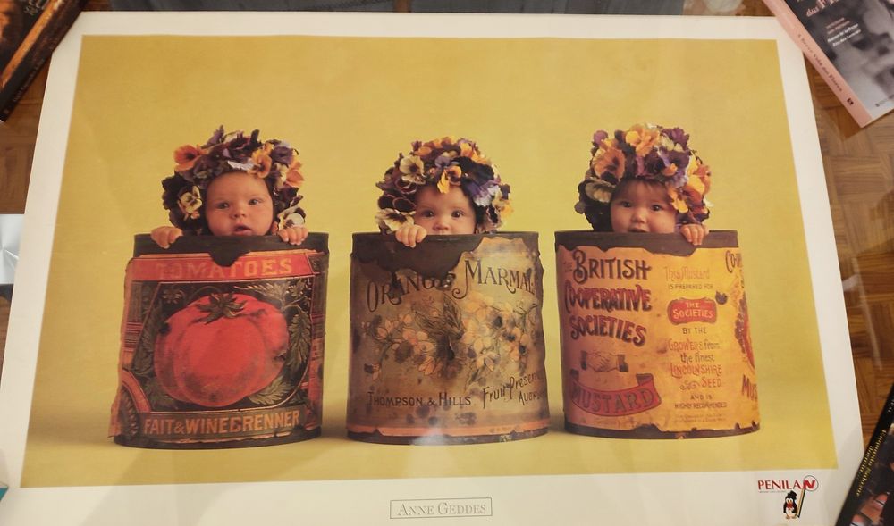 Anne Geddes - Impressão - 1995 - Vintage