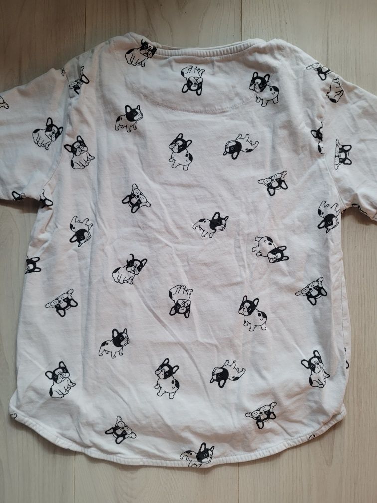 T-shirt 146 buldog h&m reserved