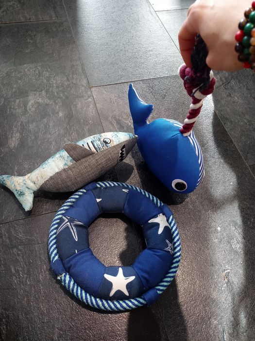 Gryzaki zabawki dla zwierzat psow.