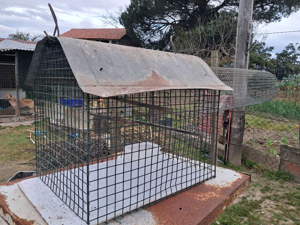 Gaiola com canudo