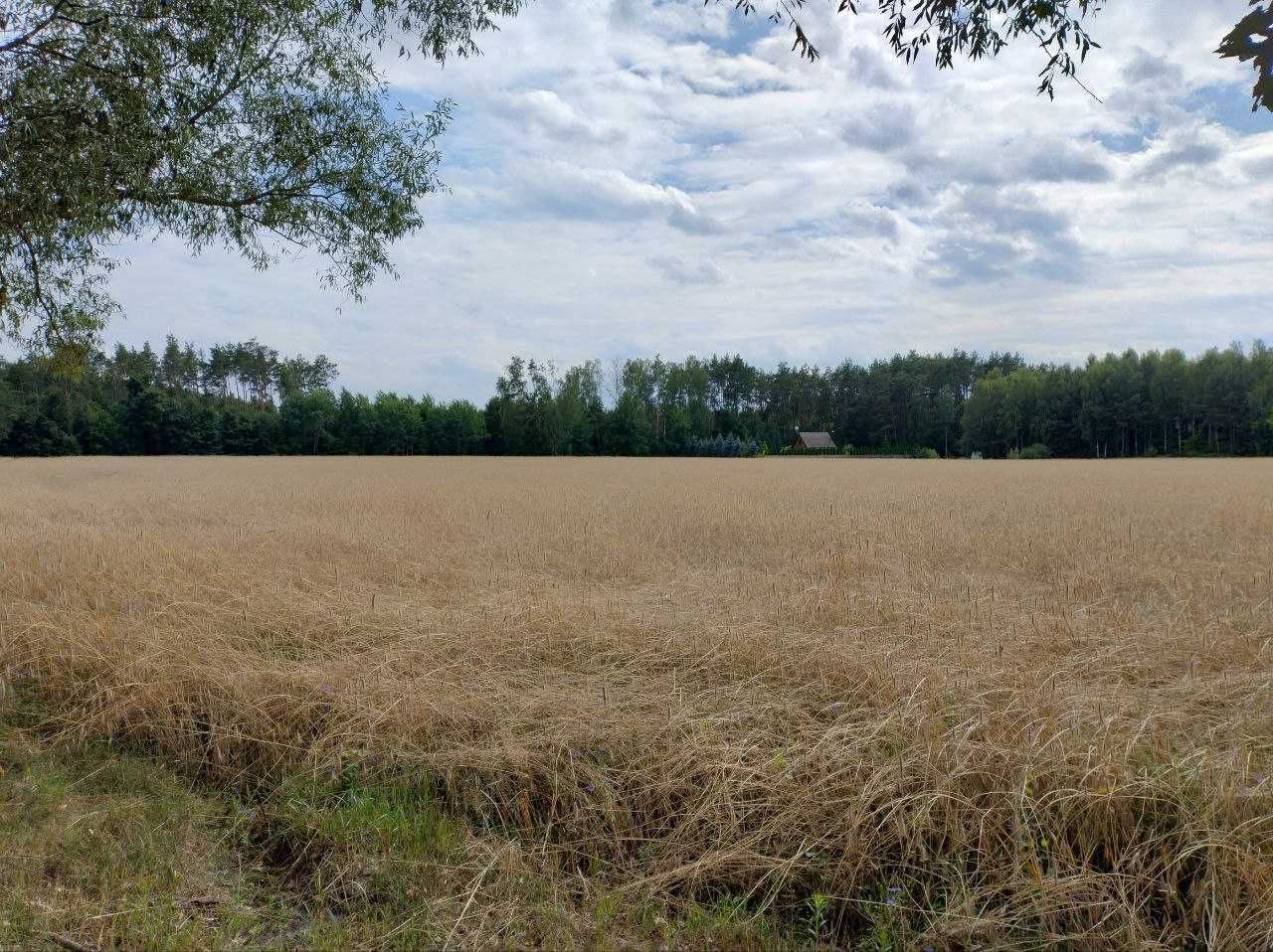 Działka budowlano-rekreacyjna 1500m2 w okolicy rzeki i lasu, Gutarzewo