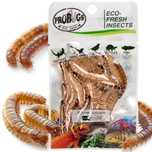 Probugs Eco-Fresh Superworm 20G - Świeże Larwy Drewnojada
