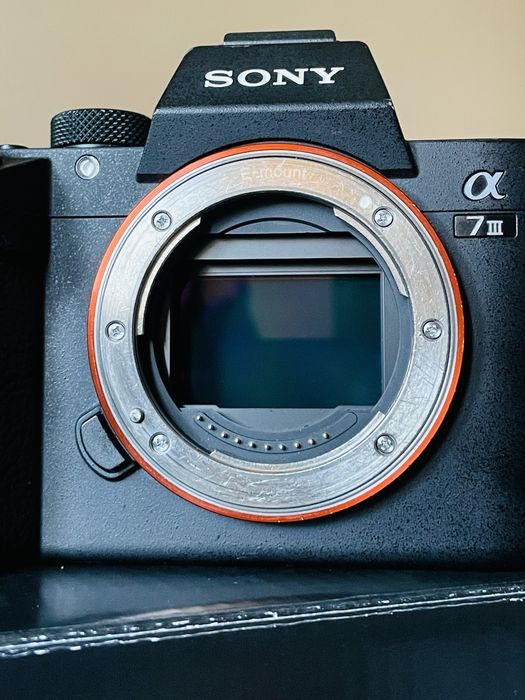 Sony A7III – pełna klatka, aparat bezlusterkowy