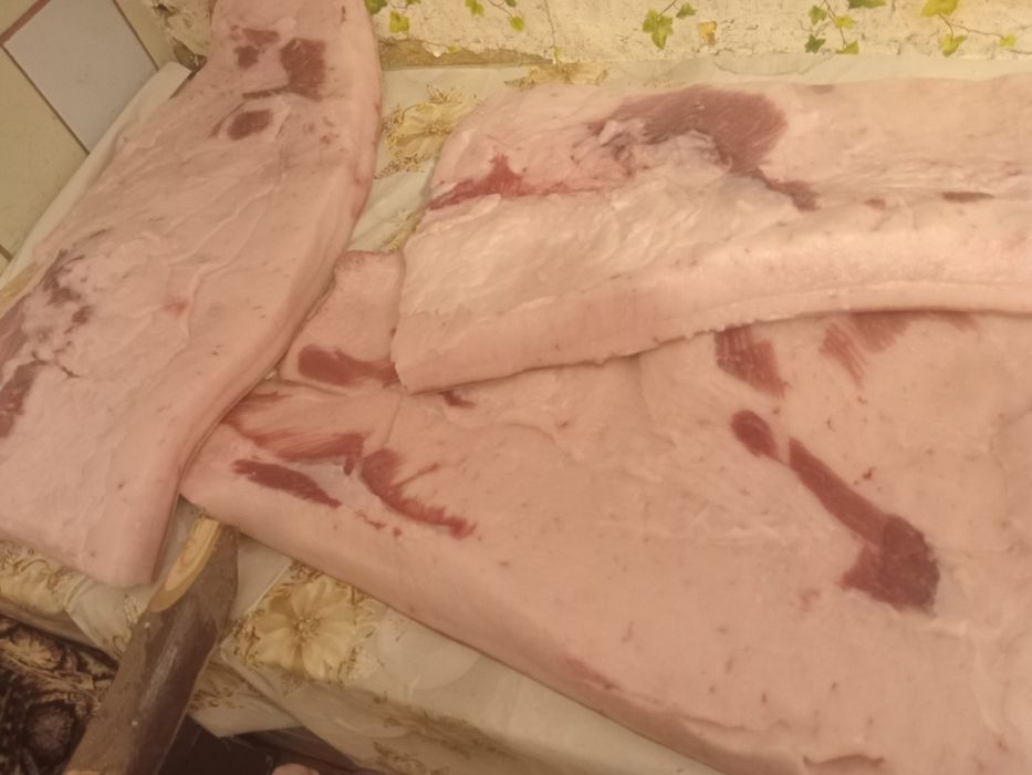 продам домашнє сало