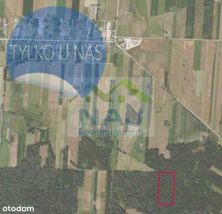 Działka leśna w gminie Brańsk