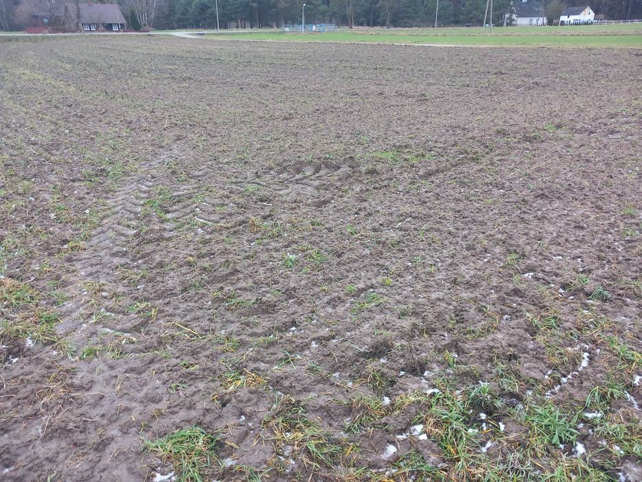 Działka budowlana 1845 m² w sercu Borów Tucholskich – Cekcynek