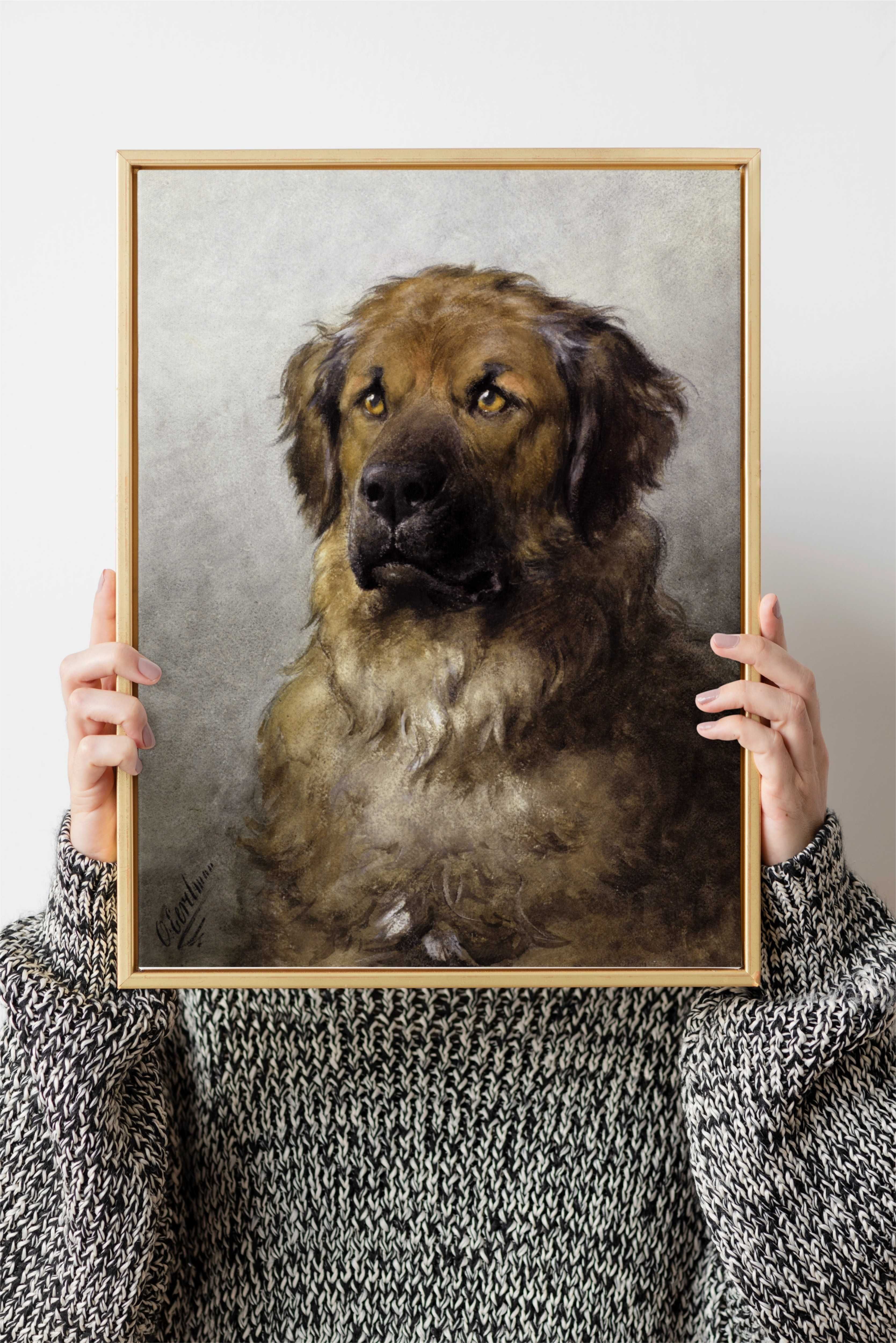 Plakat A3 Head of a Leonberger - Obraz pies wydruk Eerelman#1