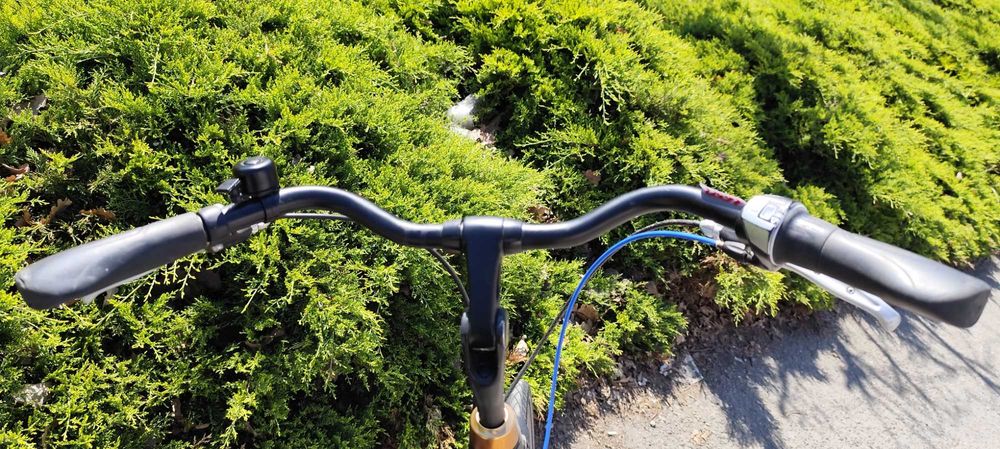 Rower Batavus Chicane 28", Nexus 7b