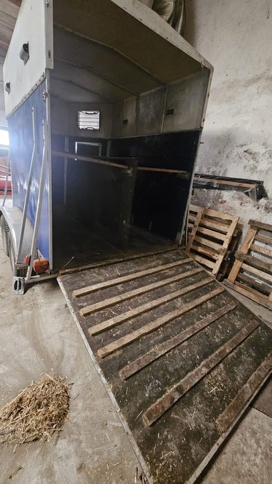 Przyczepa do przewozu koni