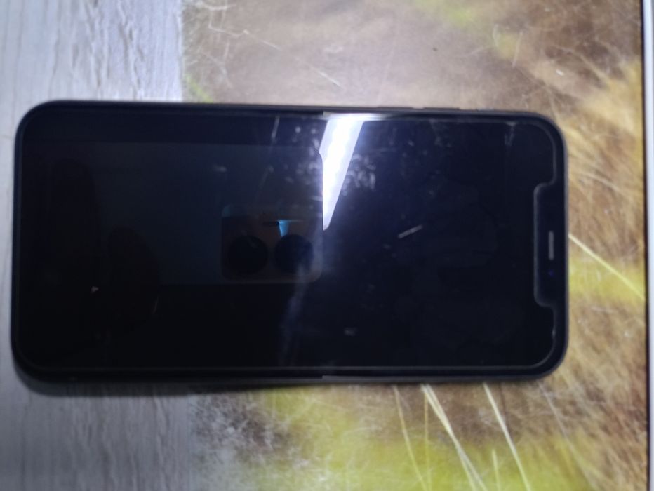 Apple iPhone 11.