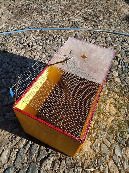 Criadeira Chick Max 100x50 cm (Com acessórios)