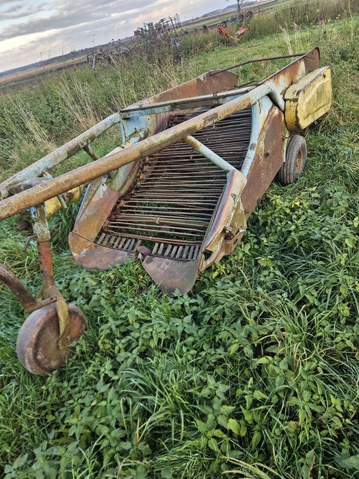 Kopaczka do ziemniaków elewatorwa 2 rzedowa nie 1 rzedowa akpil bulwa