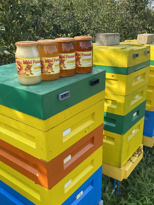 Miód w 100% naturalny. Produkt Polski