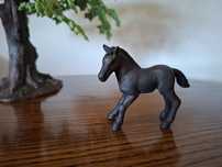 Źrebak Camargue schleich