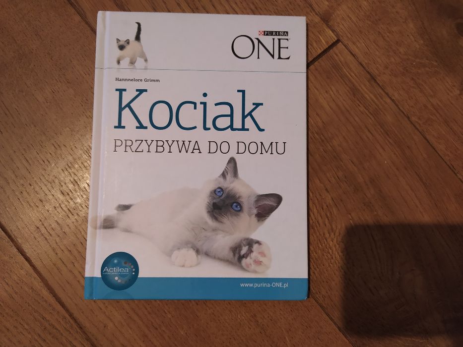 Kot książka o kotach Kociak przybywa do domu