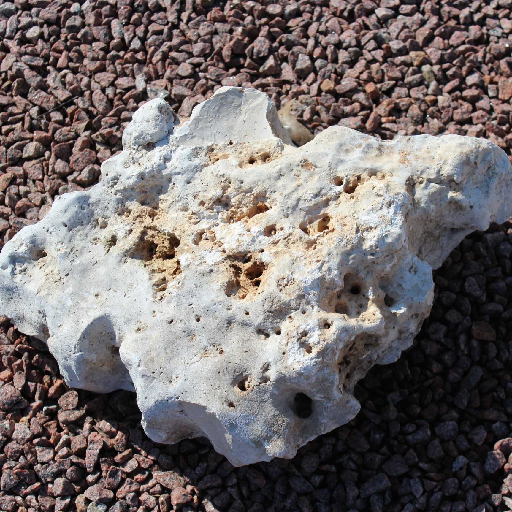 Bryłka moon stone; kamień księżycowy