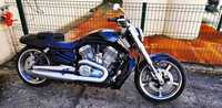 Harley Davidson VRod Muscle