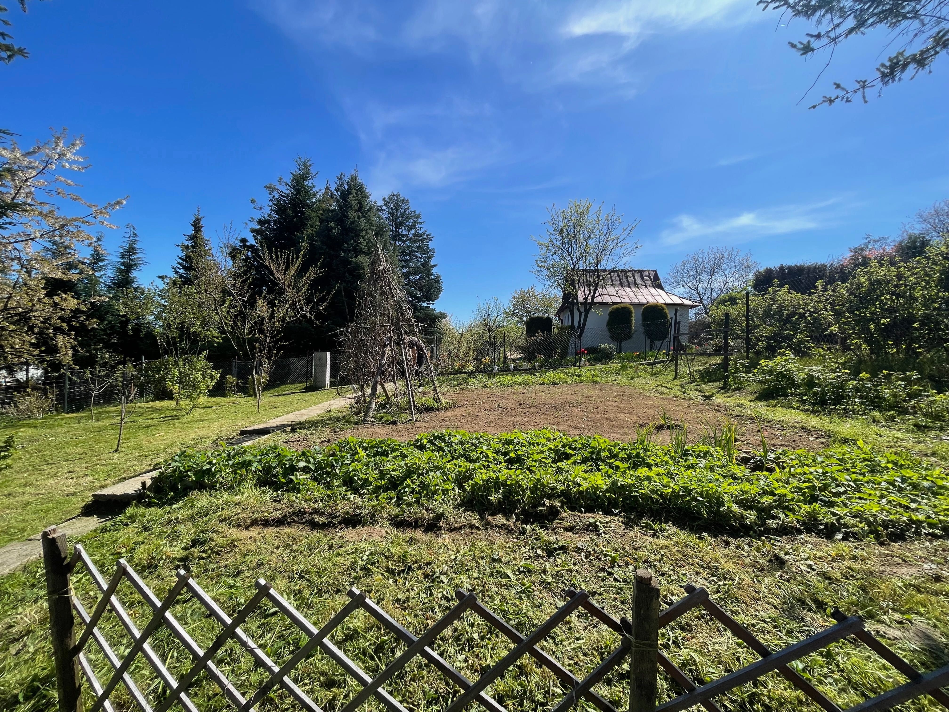 Działka rekreacyjna ROD Trinitatis Bochnia, 306 m2