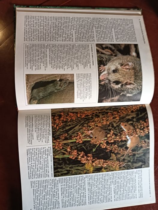 Roedores, insectívoros e marsupiais;	Coleção Animais de todo o Mundo*