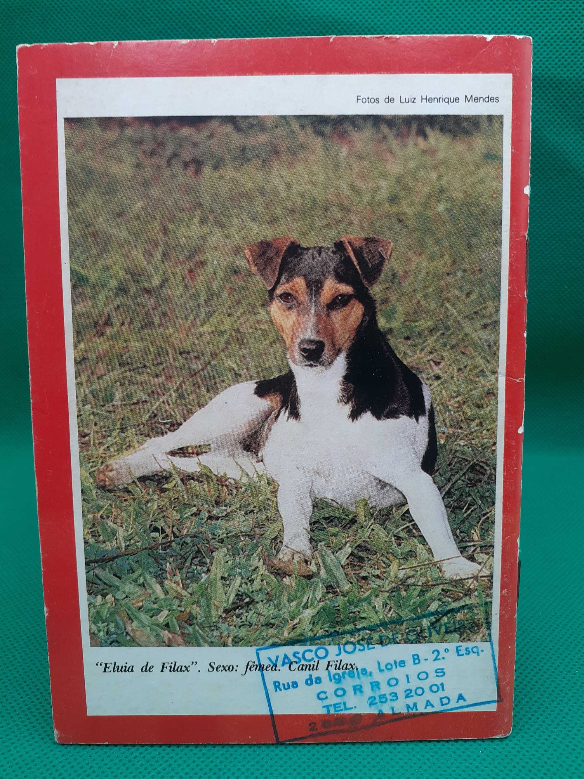 Livro - REF ESC - Tudo Sobre o Seu Cão - Fox Paulistinha