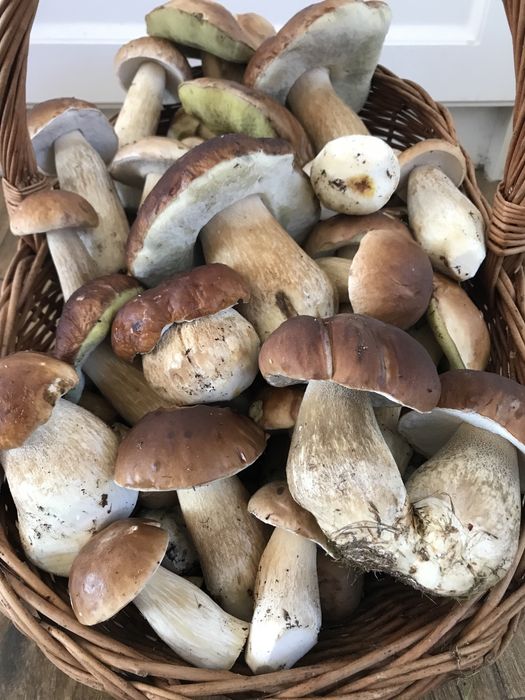 Grzyby suszone borowik szlachetny Atest 100g