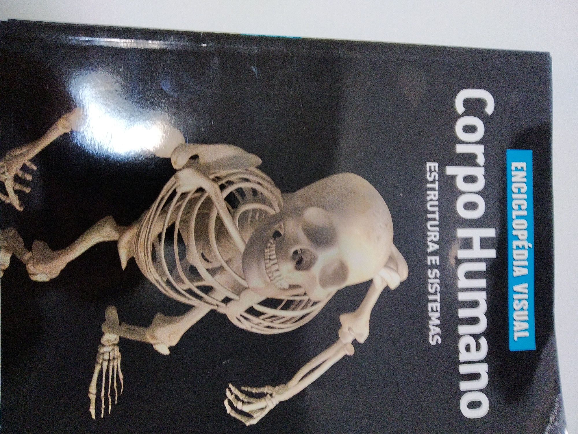 Livros "Corpo Humano" conjunto de 4