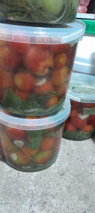 Квашені помідори