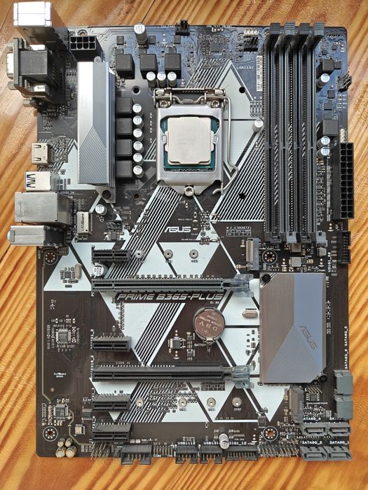 Материнська плата ASUS PRIME B365M-PLUS