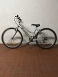 Bicicleta Júnior