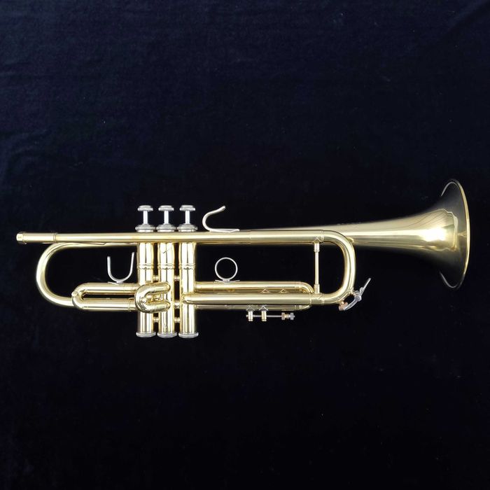 Salsa horn Vincent Bach Stradivarius 25 LARGE trąbka ustnik gamonbrass