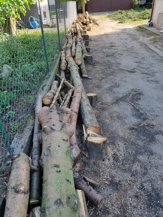 Drewno opałowe wałki (świerk)