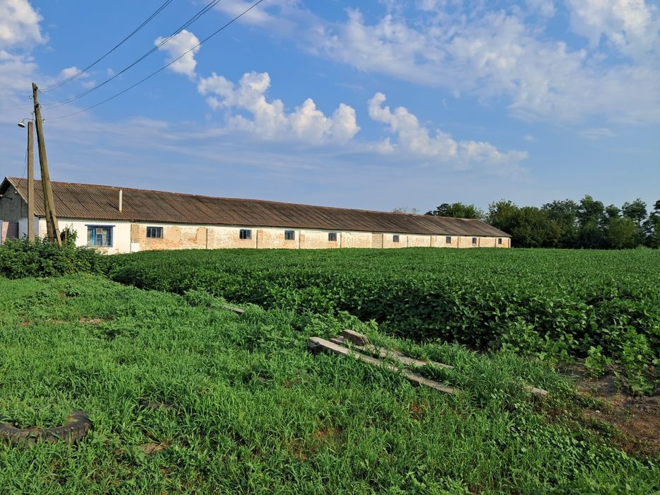 Продаж сільгосп.будівлі Свинарник